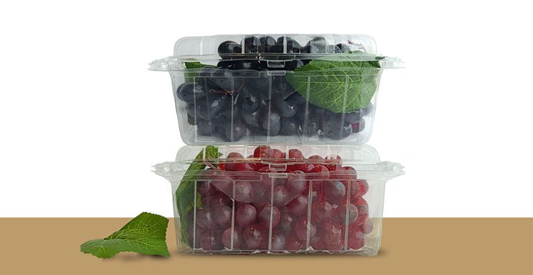 Thermoforming PET Products